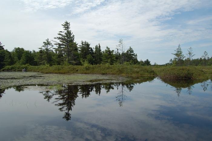 Kanutrip Naturreservat Sporting Lake_57